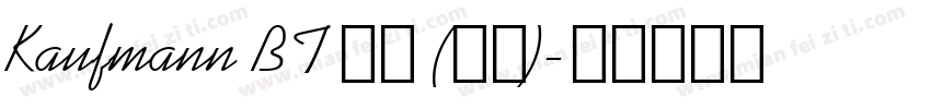 Kaufmann BT 普通 (西方)字体转换